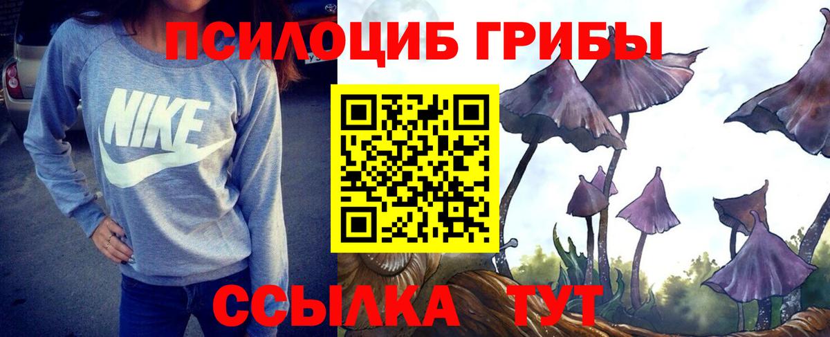 Псилоцибиновые грибы MAGIC MUSHROOMS  Вход с VPN  Мичуринск 