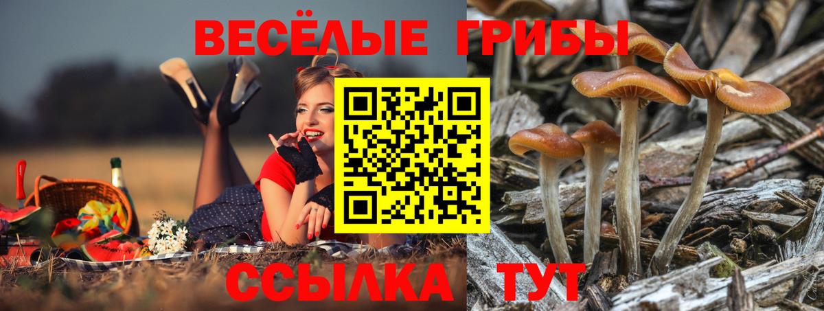 Псилоцибиновые грибы ЛСД Мичуринск